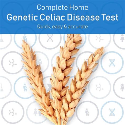 Celiac Disease Test Genetic Testing For Celiac Disease At Home Alphabiolabs Usa