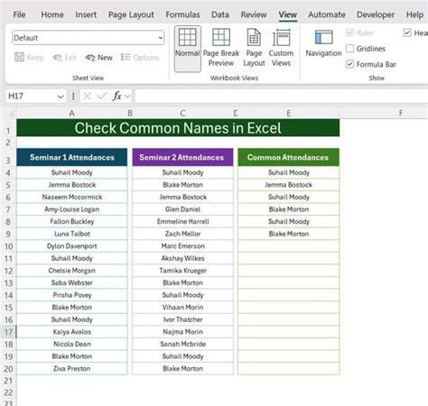 Check Common Names In Excel With Examples Pk An Excel Expert