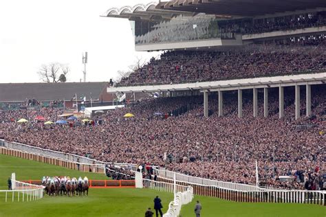 Cheltenham Festival Betting Offers The 6 Best Bookmakers You Don T Have An Account With Yet Middle East