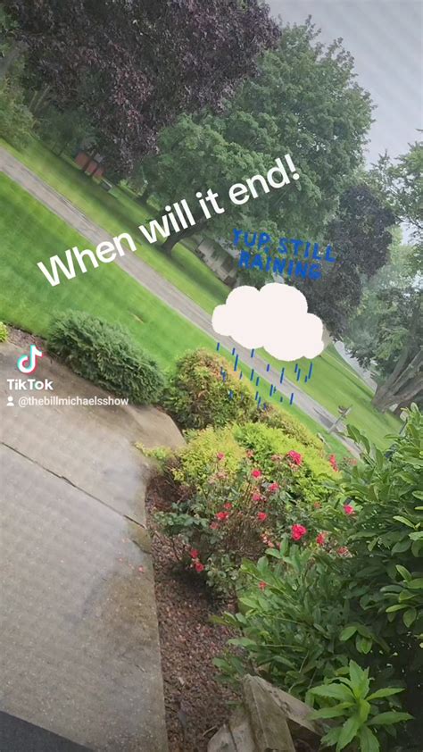 Coming Up Next Vlogs Is Ready And Going To Be Up Today 18 00 Time Zone