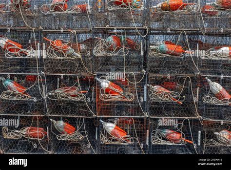 Crab Pots With Orange Buoys On Maryland Amp 39 S Eastern Shore Of The