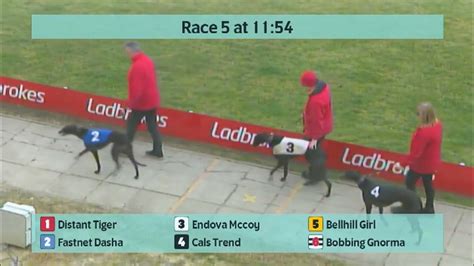 Crayford Greyhounds Races On 1St March 2023 Youtube