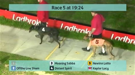 Crayford Greyhounds Races On 20Th September 2022 Youtube