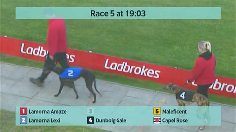 Crayford Greyhounds Races On 31St March 2024 Youtube