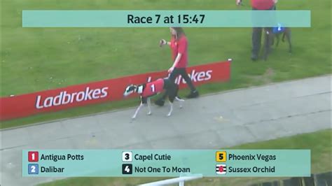 Crayford Greyhounds Races On 4Th May 2024