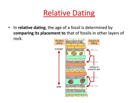 Dating Fossils Relative Dating And Absolute Dating Science Technology