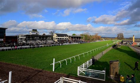 David Pipe Partners With Exeter Racecourse To Launch Exclusive Family Racing Experience