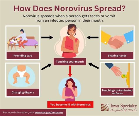 Demystifying Norovirus How Does It Really Start