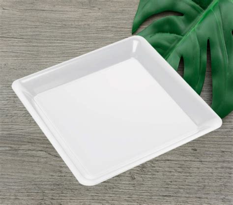 Disposable Serving Trays With Handles At Jamie Spinelli Blog