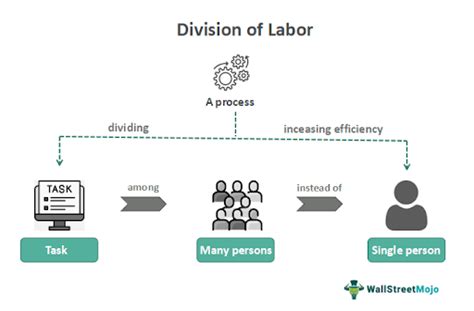Mastering Division of Labor for Efficiency Gains