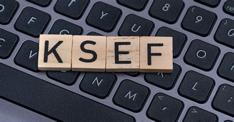 Documentation For Ksef 2 0 New System Features And Updates