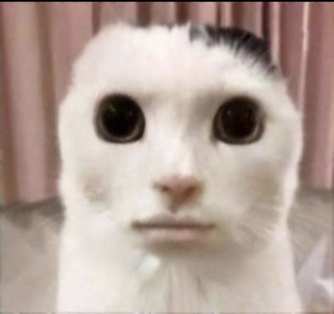 Domy Adl Kullan C N N Schizzi D Amp 39 Arte Panosundaki Pin Izim D Vme Anime Domy Adl Kullan C N N Schizzi D Amp 39 Arte Panosundaki Pin Izim D Vme Anime