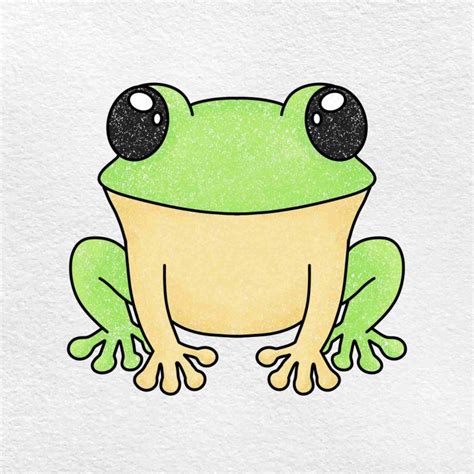 Draw Amphibians Helloartsy