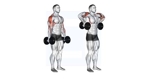 Dumbbell Lateral Raise Guide Benefits And Form