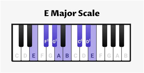 E Major Scale For Piano Scales Chords Exercises Oktav E Major Scale For Piano Scales Chords Exercises Oktav