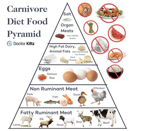 Eternal Wiping Carnivore Diet: Myths, Meals, And Results