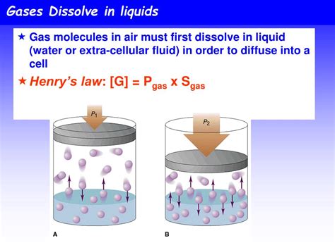 Gas in Liquid: Real-World Example Explored