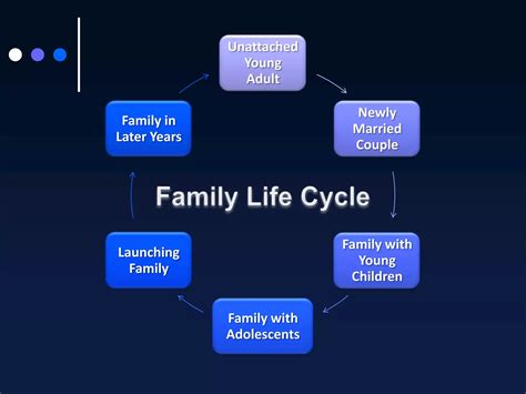 Unlock Secrets of Family Life Cycle Dynamics