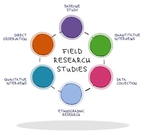 Best Field of Study for Career Success