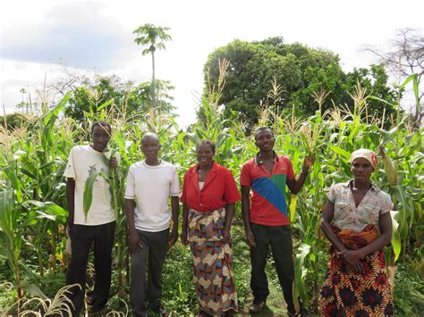 Best Ways to Find Partners in Malawi