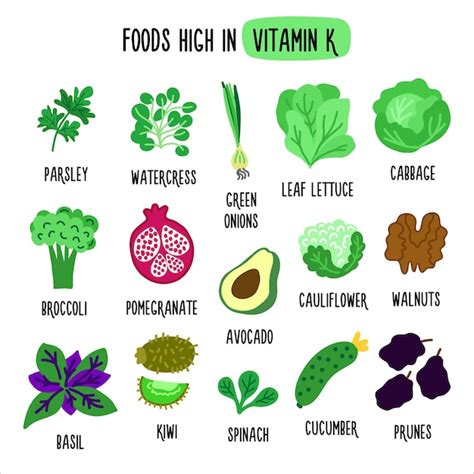 Foods High In Vitamin K Vector Illustration With Healthy Foods Rich In