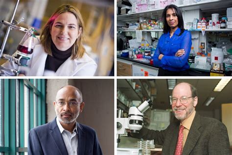 Four Mit Faculty Named 2015 Fellows Of The National Academy Of Inventors Mit News Massachusetts Institute Of Technology Four Mit Faculty Named 2015 Fellows Of The National Academy Of Inventors Mit News Massachusetts Institute Of Technology