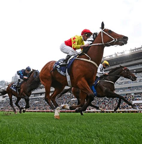 Free Horse Racing Tickets Latestfreestuff Co Uk