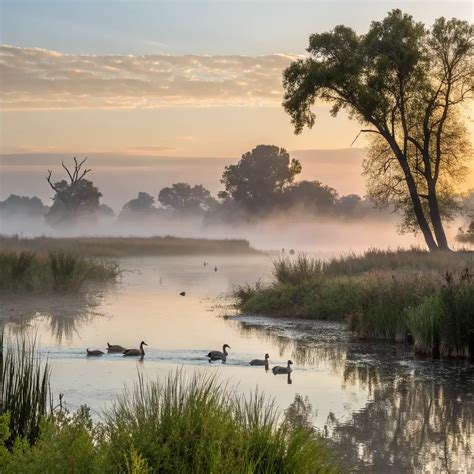 Free Things To Do In Davis A Budget Friendly Adventure Guide Learn California