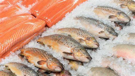 Frozen Food Fish