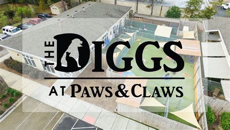 Gallery Wilmington Nc The Diggs At Paws Amp Claws