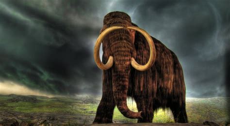 Uncover Giant Mammoth In Jungle: A Lost World Discovery
