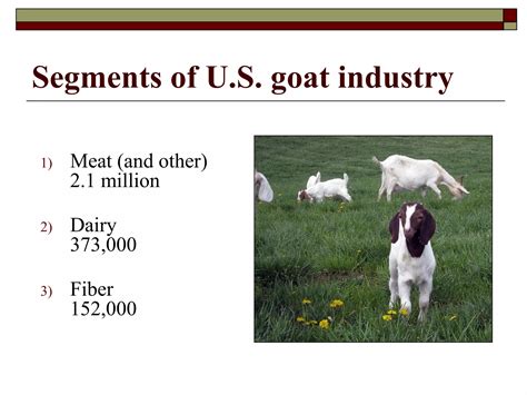 Goat Industry Segments: The Definitive Guide To Market Opportunities