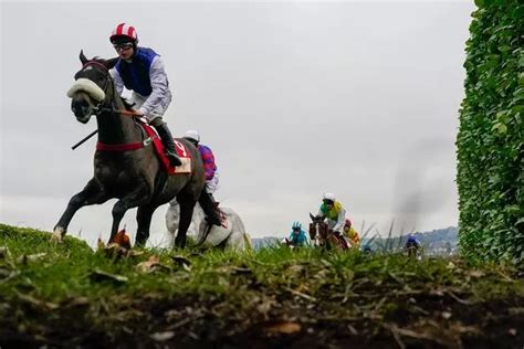 Grand National 2023 Harry Redknapp Amp Quot Very Excited Amp Quot About Having First