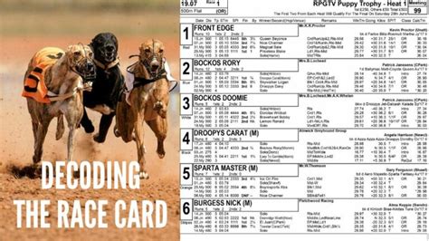Greyhound Racing Cards