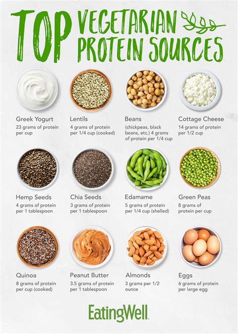 High Protein Foods List Vegetarian At Toby Kunkle Blog