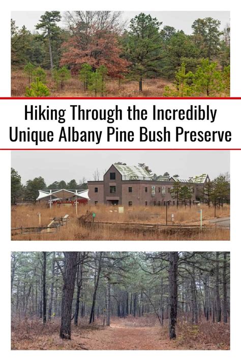 Hiking Through The Incredibly Unique Albany Pine Bush Preserve Uncovering New York