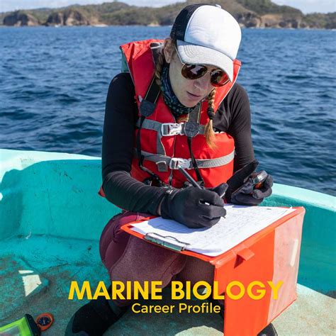 Hiring A Marine Biologist Job Description Template Career Sidekick