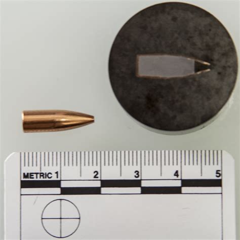 Hollow Point Bullet Wound