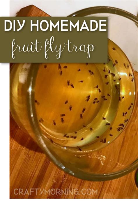 Homemade Fruit Fly Trap