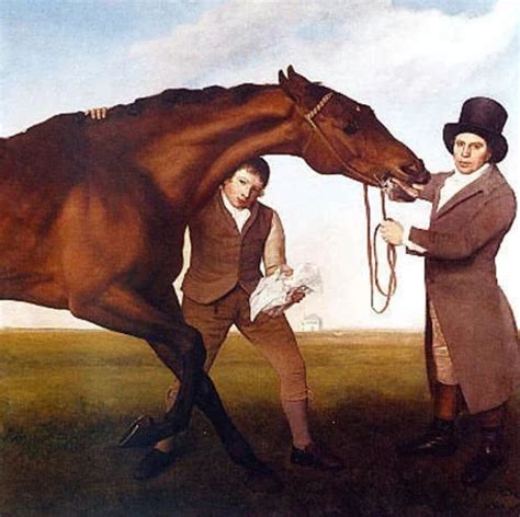 Horse Racing Results Uk Ireland 2015 2025 Kaggle