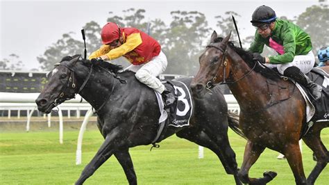 Horse Racing Tips Gosford Best Bets And Inside Mail For Thursday April