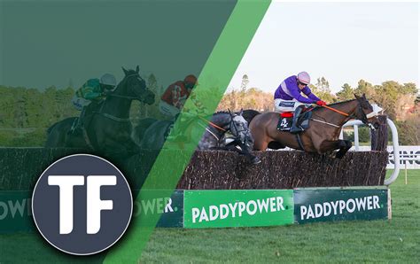 Horse Racing Tips Timeform S Friday Flutters At Leopardstown Paddy