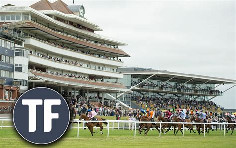 Horse Racing Tips Timeform S Saturday Selections At Newbury Paddy