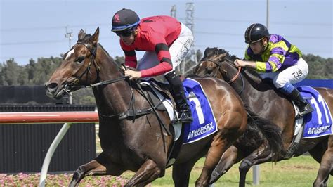 Horse Racing Tips Wyong Best Bets For Wednesday November 29 The