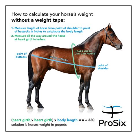 Horse Weight Calculator Custom Equine Nutrition