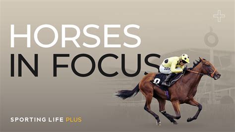 Horses In Focus Tips For Monday Eye Catchers Chosen By Timeform Experts