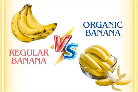 How Are Organic Banana Cons: Pros, Cons, And What It Means