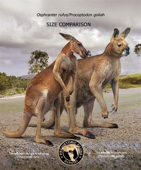 How Are The Animal Ancestors Of The Ice Age Different From Today Mydinosaurs