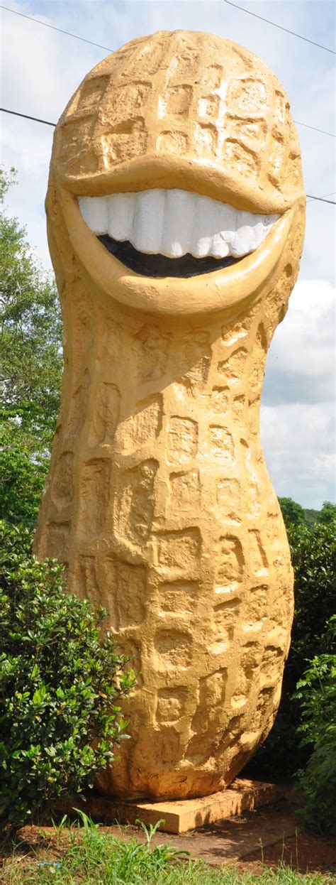 How Big Is The Giant Nut At Marilyn Manning Blog How Big Is The Giant Nut At Marilyn Manning Blog