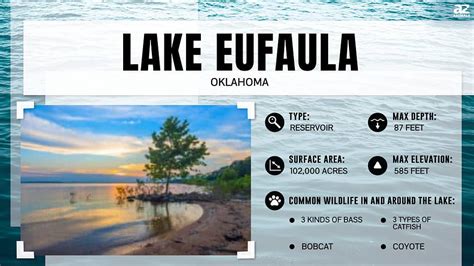 How Deep Is Lake Eufaula Ok At Anthony Mcarthur Blog How Deep Is Lake Eufaula Ok At Anthony Mcarthur Blog